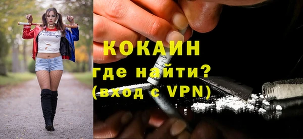гидра Горно-Алтайск