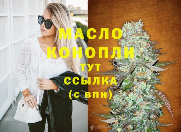 гидра Горно-Алтайск