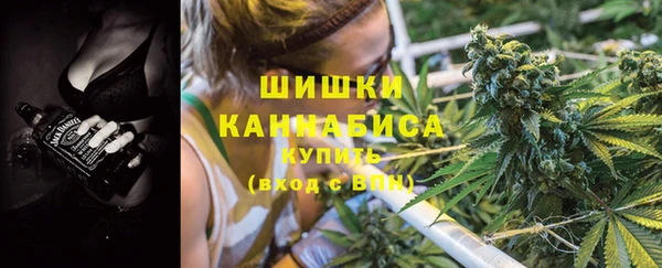гидра Горно-Алтайск