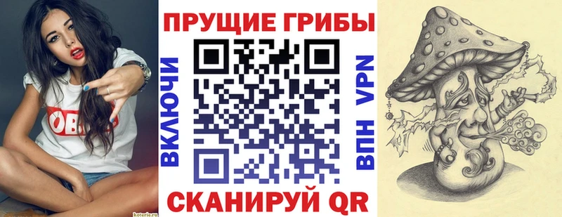 Галлюциногенные грибы Cubensis  купить наркотик  Цоци-Юрт 